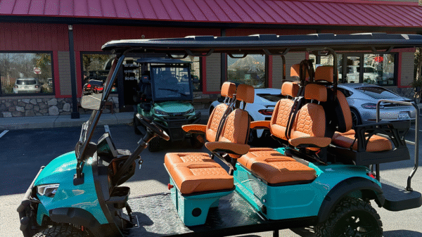 BRAND NEW 2025 BUILD EZGO TXT LITHIUM - Image 2