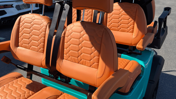 BRAND NEW 2025 BUILD EZGO TXT LITHIUM - Image 8